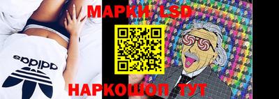 эйфоретик Гатчина