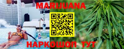 стафф Гай