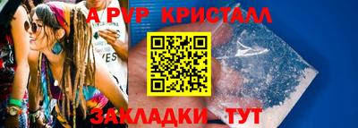 стафф Гай