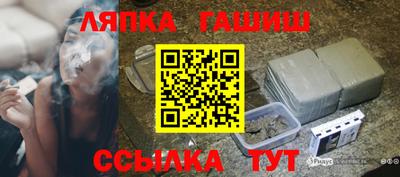 стафф Гай