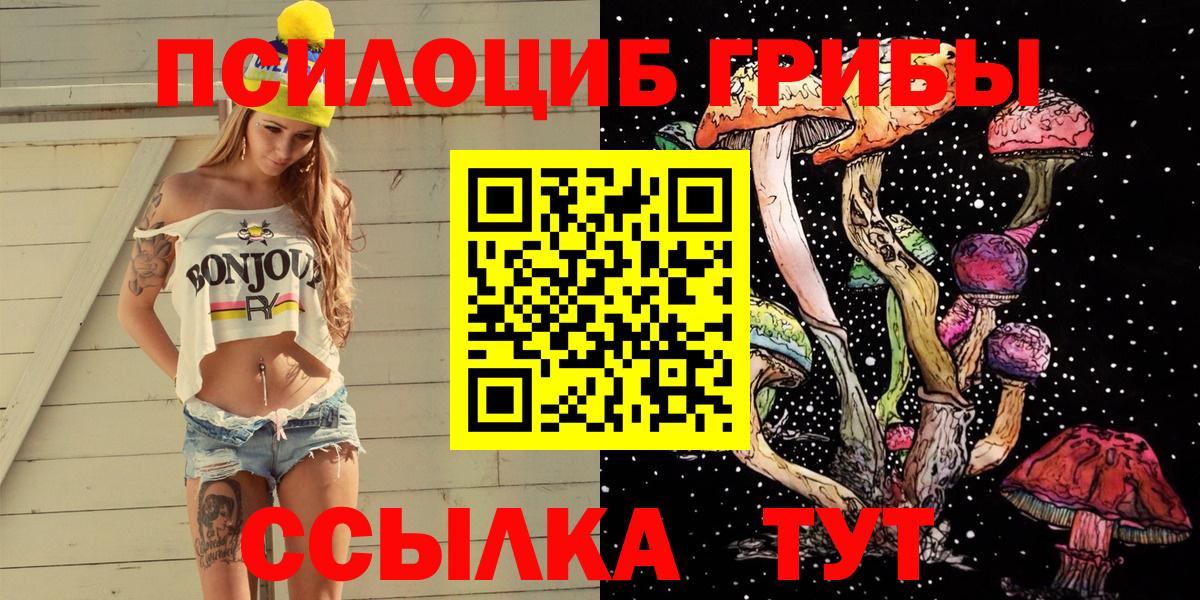 Галлюциногенные грибы Psilocybe Дедовск