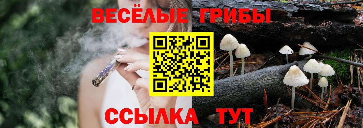 Галлюциногенные грибы GOLDEN TEACHER Дедовск