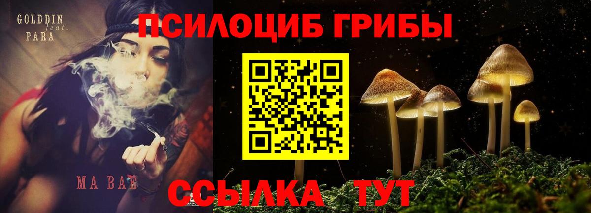 Псилоцибиновые грибы GOLDEN TEACHER  Вход с VPN  Галлюциногенные грибы мицелий  Дедовск 